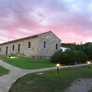 Il Vecchio Ginepro
